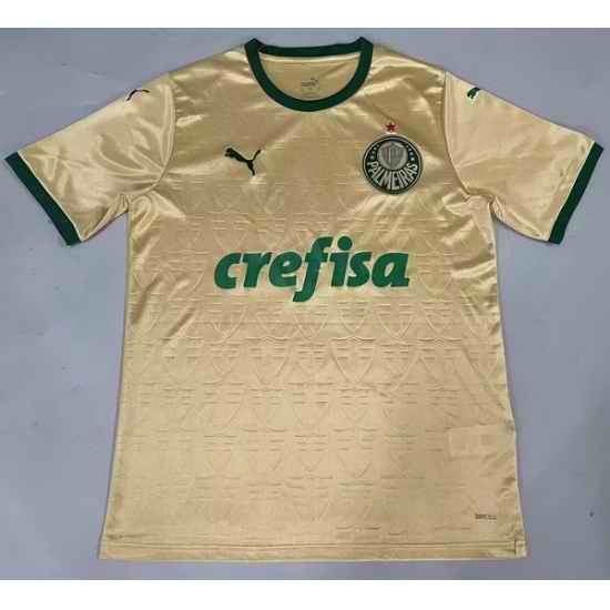 Men 2024 2025 Soccer Jersey SE Palmeiras